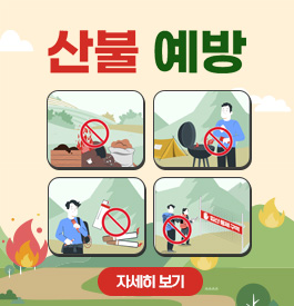 산불예방
자세히보기
