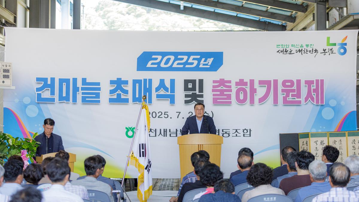 합천유통 건마늘 초매식