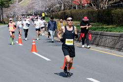 제23회 합천 벚꽃마라톤대회1