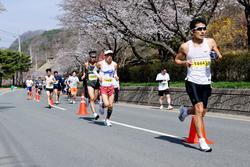 제23회 합천 벚꽃마라톤대회1