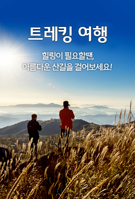 트레킹 여행 힐링이 필요할땐, 아름다운 산길을 걸어보세요!