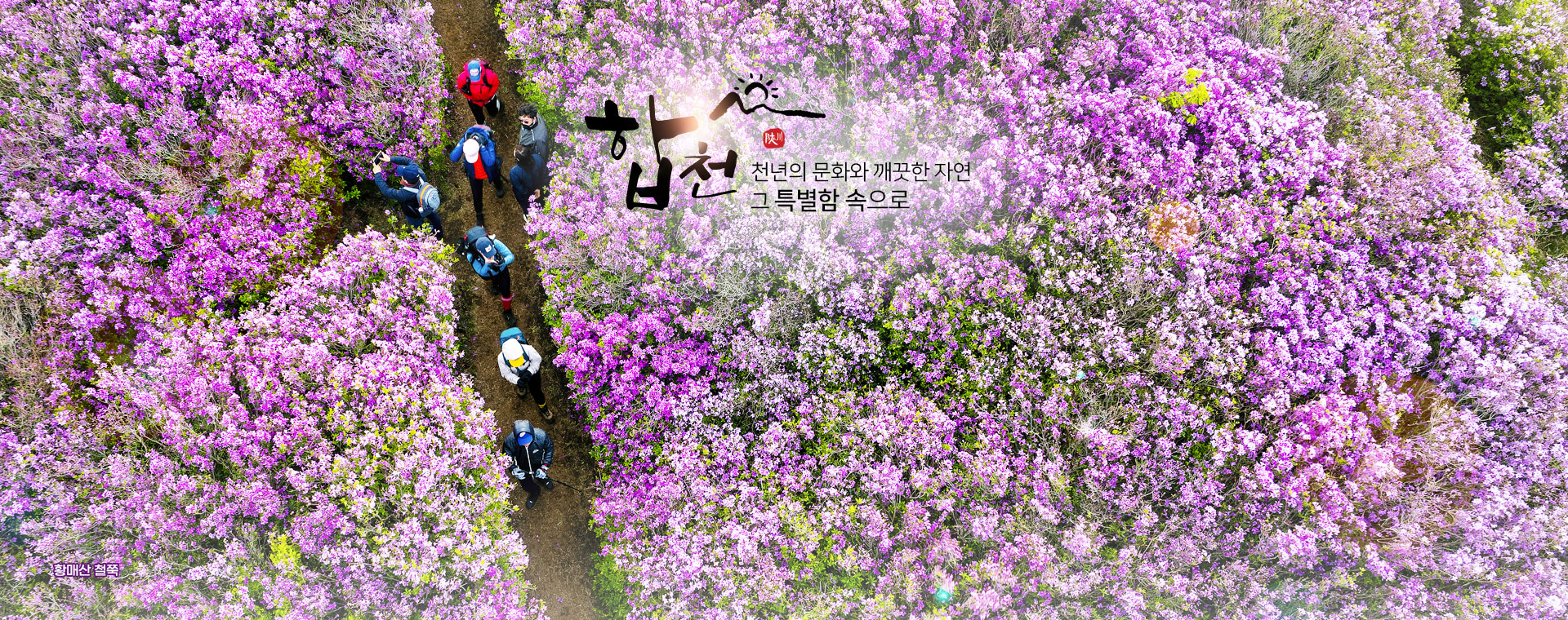 합천 천년의 문화와 깨끗한 자연 그 특별함 속으로, 황매산 철쭉