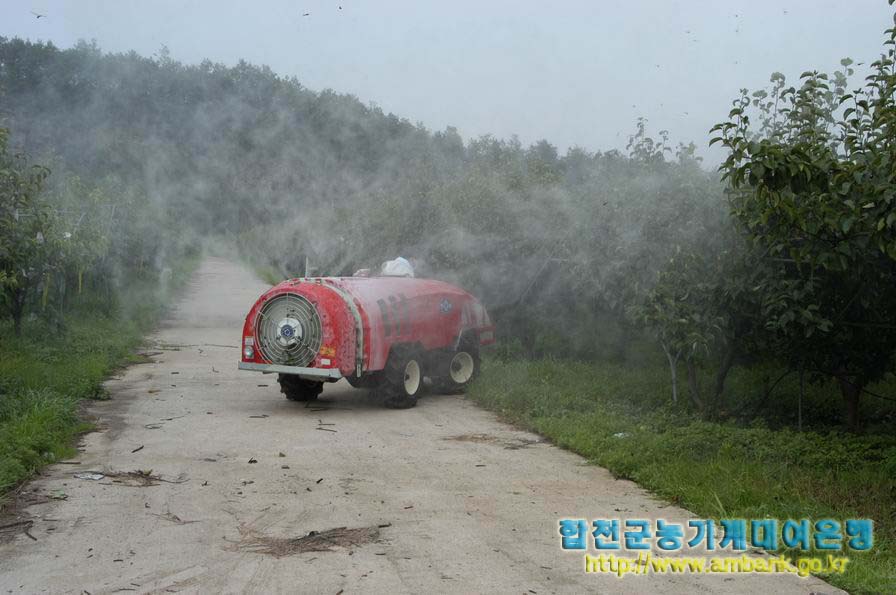 �Ϻα�) ���ǵ彺�����̾�[����