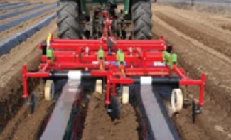 �ߺα�) �޸������[��������