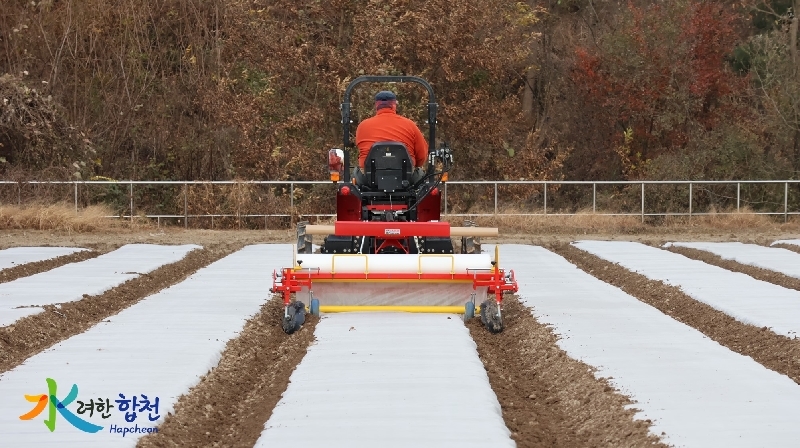 ���α�) �޸��Ǻ���[�������Ǻ���