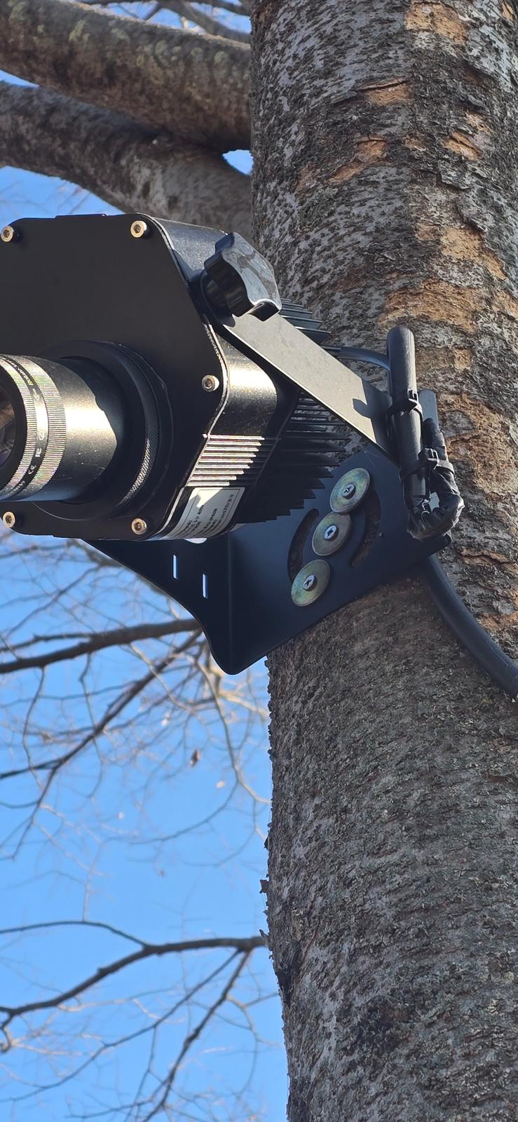 살아있는 나무에 카메라를 