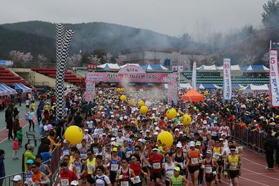 황강물길따라 달리는 ‘제14회 합천벚꽃마라톤대회’ 개최