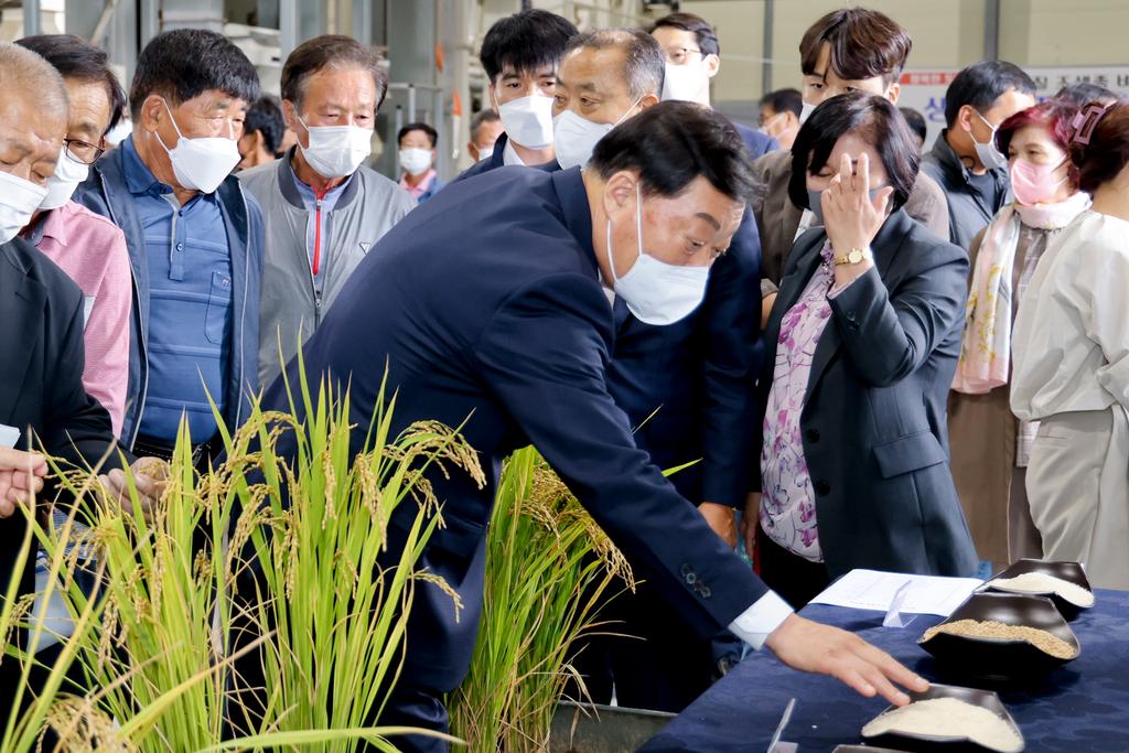 고품질 조생종 벼‘조원(경남1호)’생산단지 현장평가회 개최