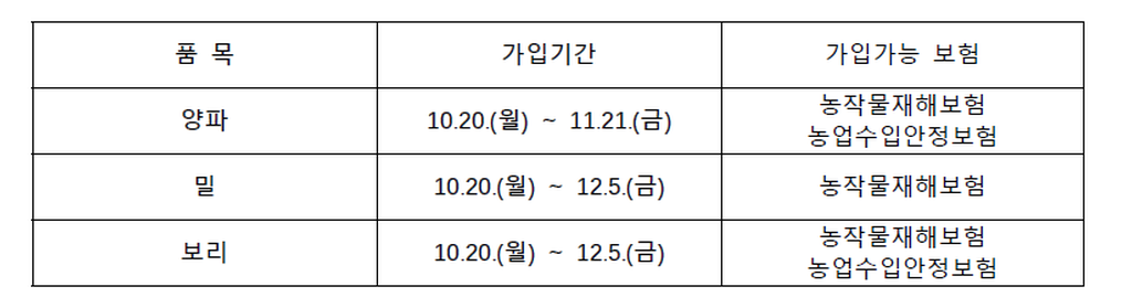 보험 안내