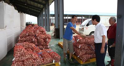 합천군 2013년산 정부비축 마늘 8월 22일까지 수매