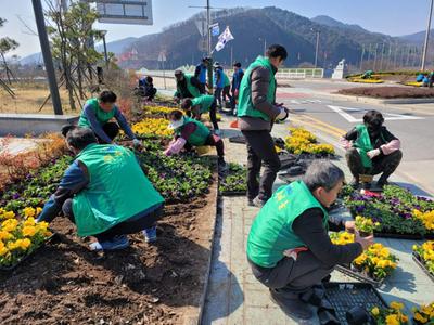 새마을운동합천군지회, 아름다운 합천가꾸기 사업으로 봄꽃 식재