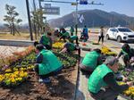 새마을운동합천군지회, 아름다운 합천가꾸기 사업으로 봄꽃 식재