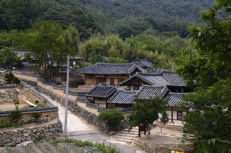 전경