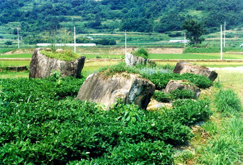 합천학리지석묘군