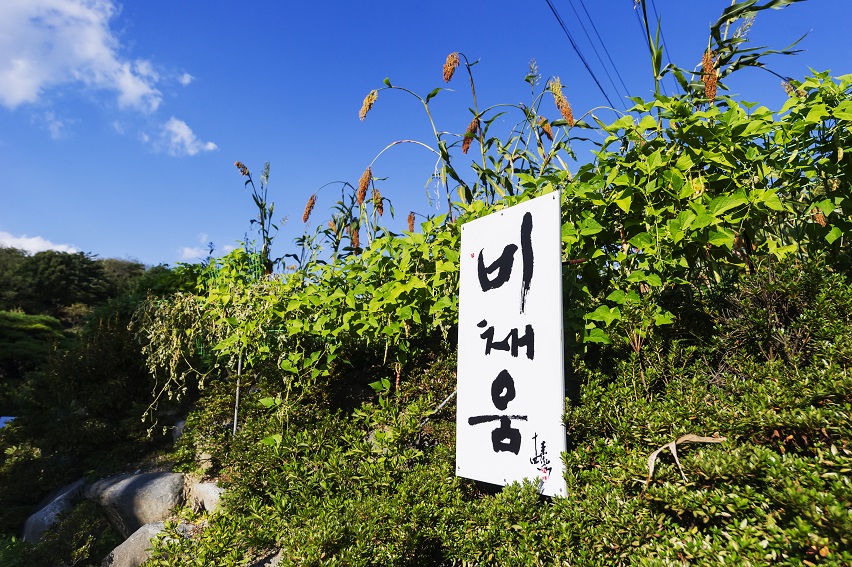 비채움민박