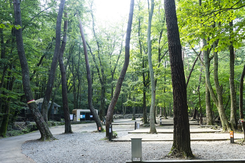 가야산삼정야영장