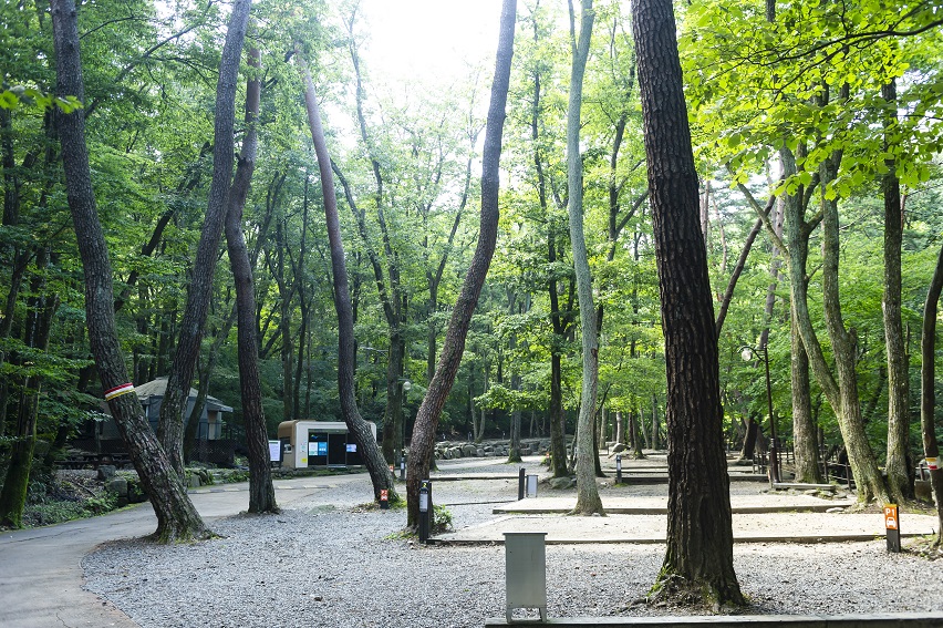 삼정 야영장