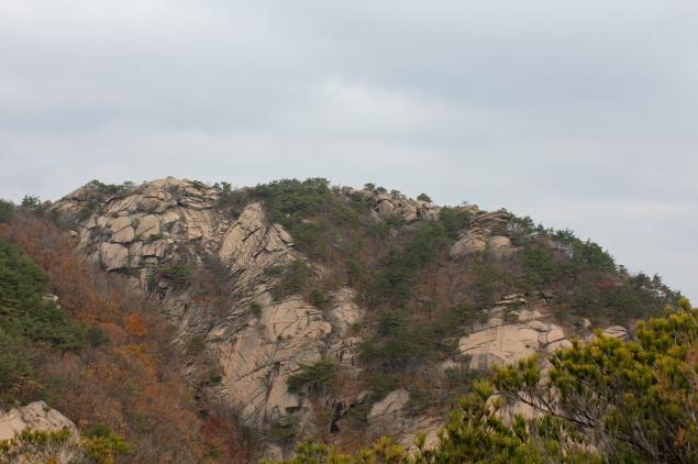감암산