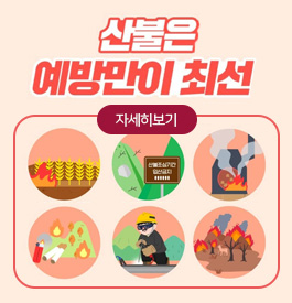 산불은 예방만이 최선
자세히 보기