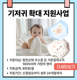 기저귀 확대 지원사업
지원대상 : 합천군에 주소를 둔 기준중위소득 100%이하 가정의 영아
지원금액 : 9만원/월
지원기간 : 신청일로부터 생후 24개월까지
자세히보기