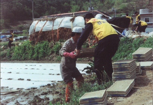 HC합천경찰서봉사활동