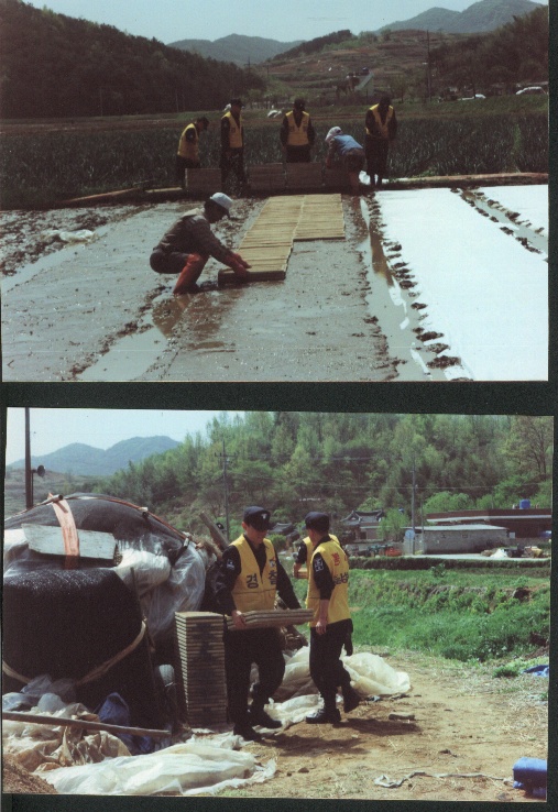 HAP합천경찰서농촌일손돕기