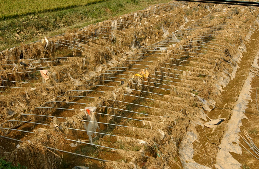 군보3합천비닐하우스피해