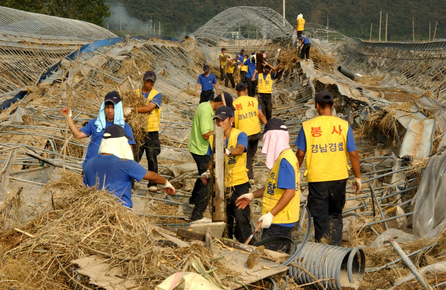 군보8합천경찰비닐복구
