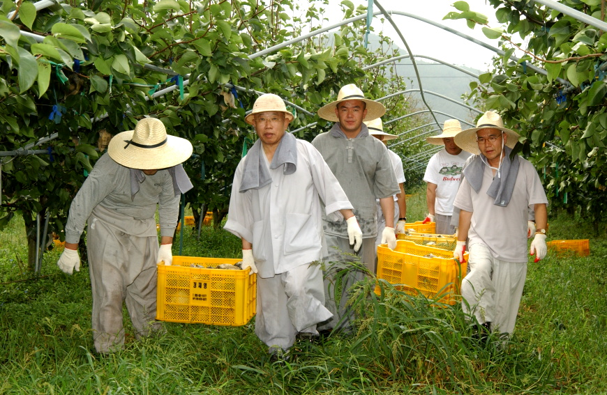 군보15합천해인사수해복구현장