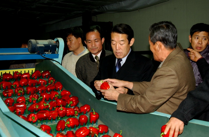 파프리카100만불수출현장