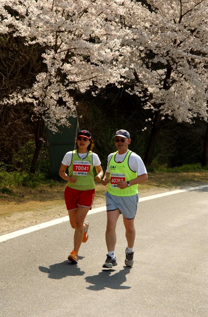 합천벛꽃마라톤대회