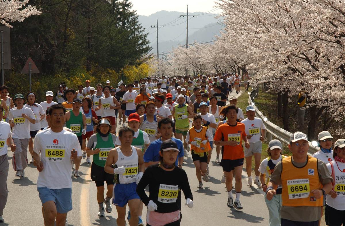 합천벛꽃마라톤대회