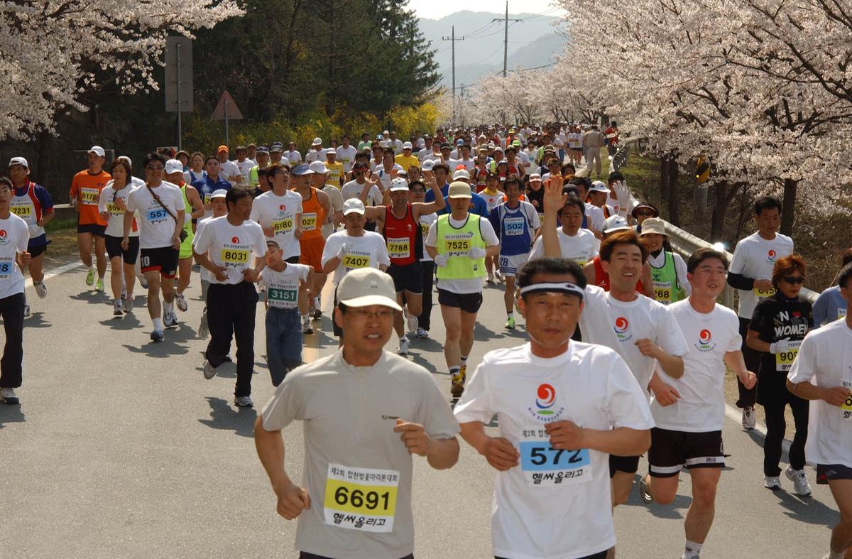 합천벛꽃마라톤대회