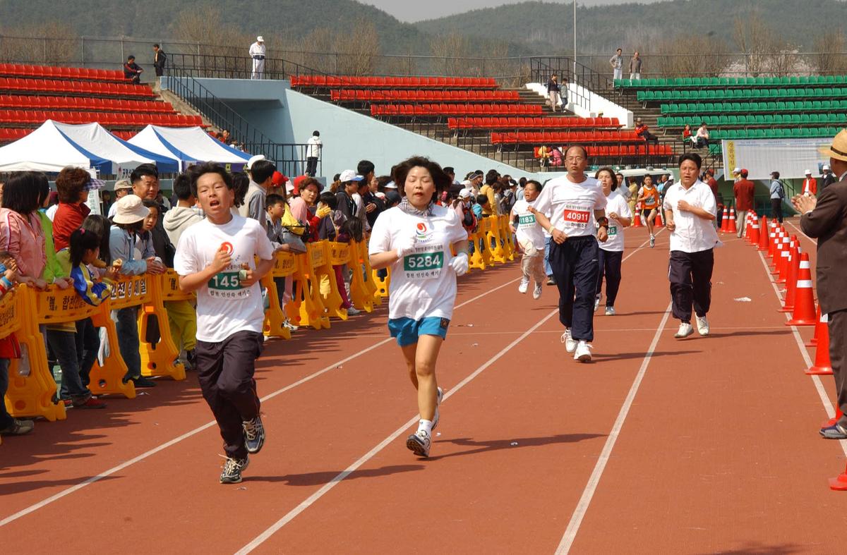 합천벛꽃마라톤대회