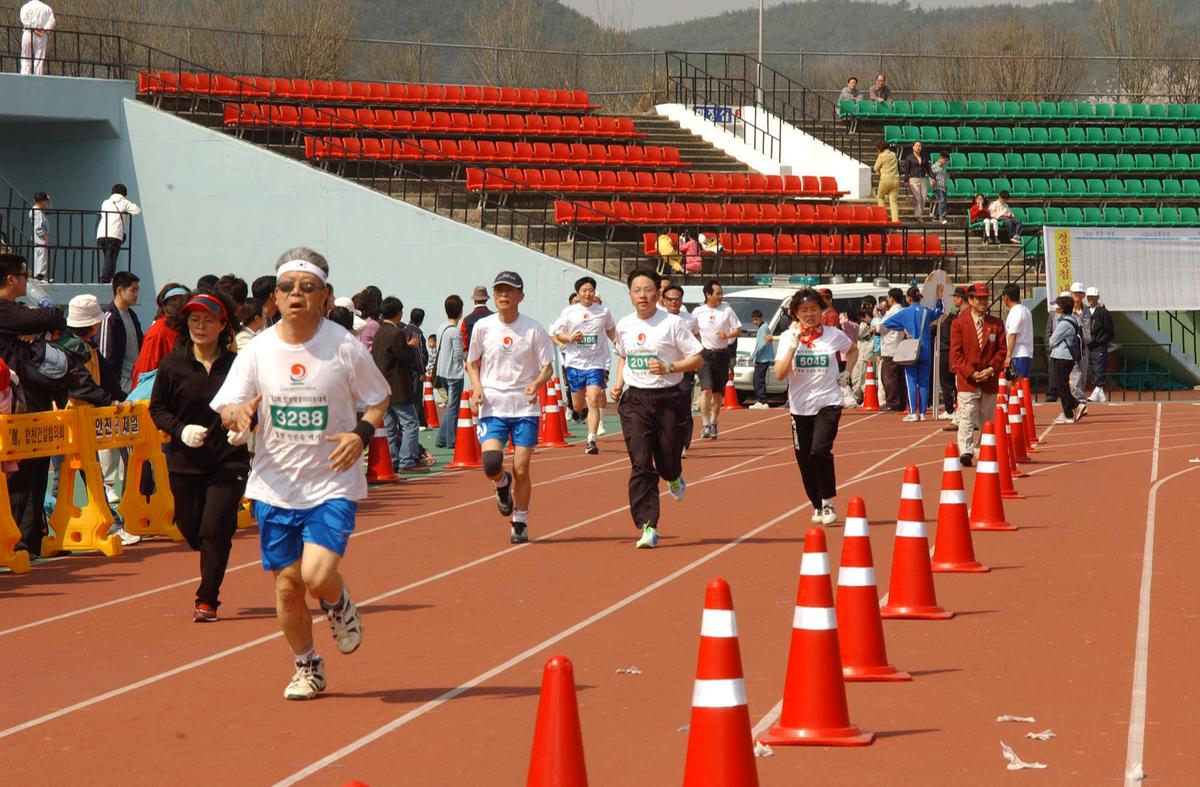 합천벛꽃마라톤대회
