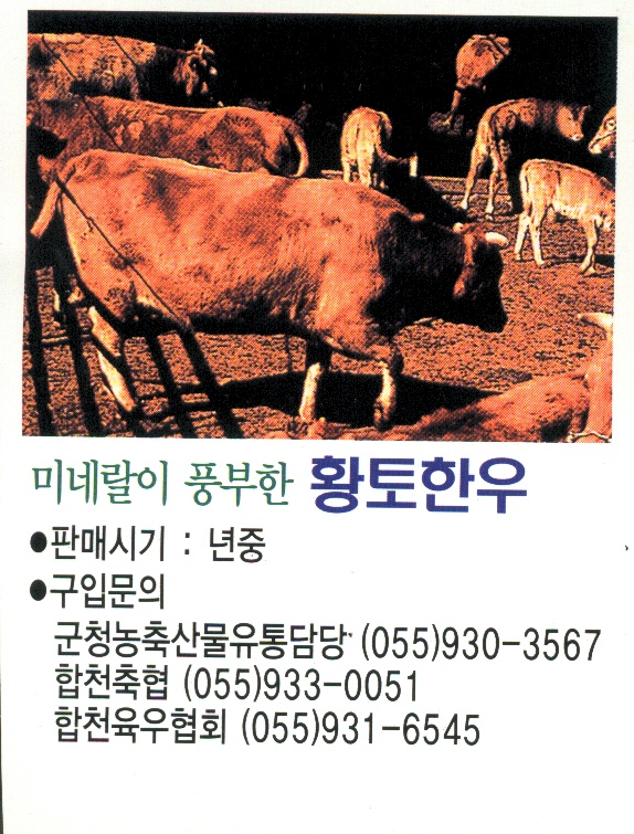 군보1향토한우