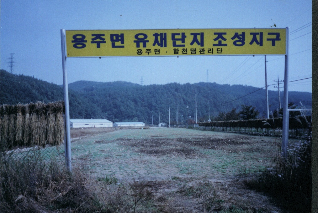 군보13유체꽃단지조성