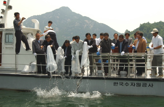 HAP합천댐치어방류