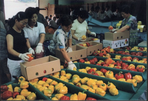 HAP합천파프리카수출