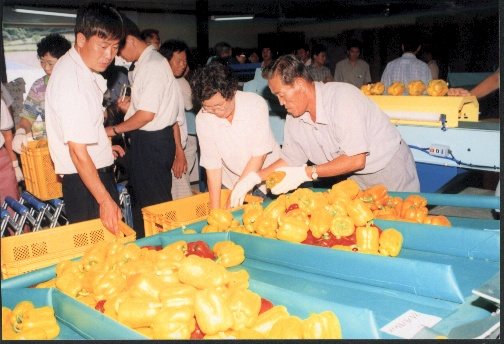 HAP합천파프리카수출