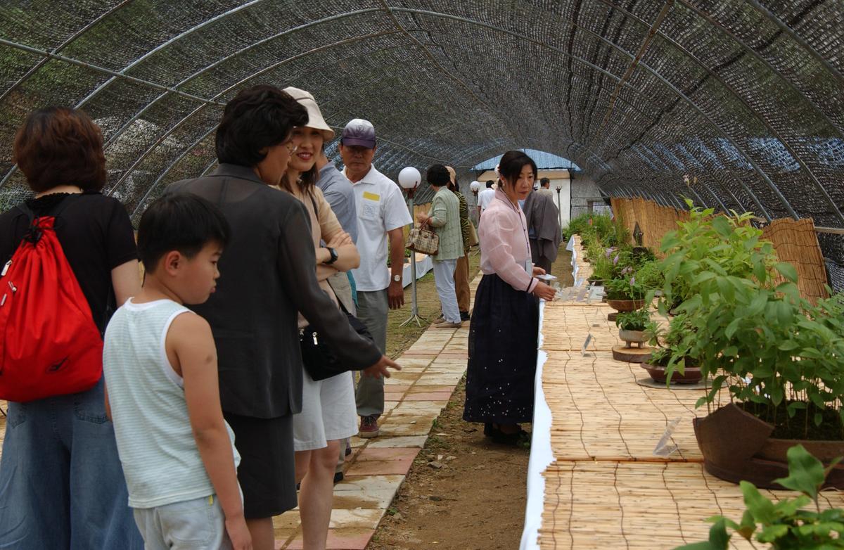 묘산야생화전시회
