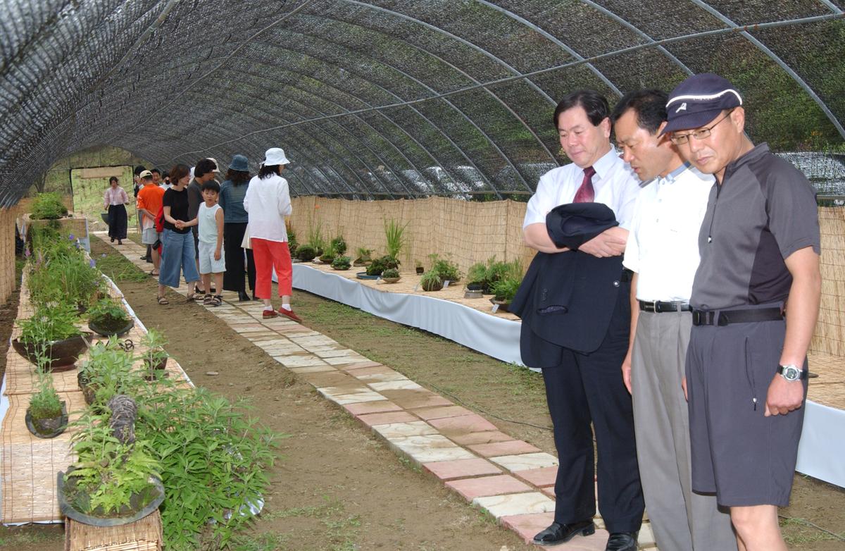 묘산야생화전시회