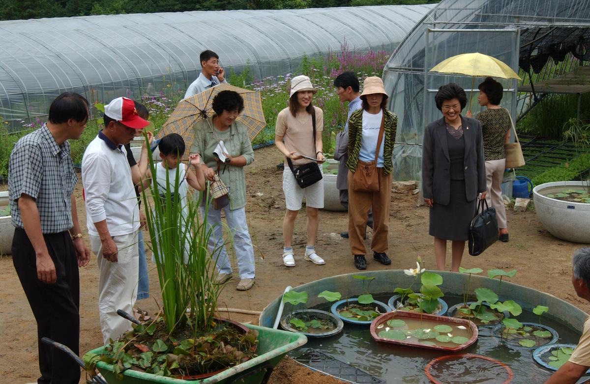 묘산야생화전시회