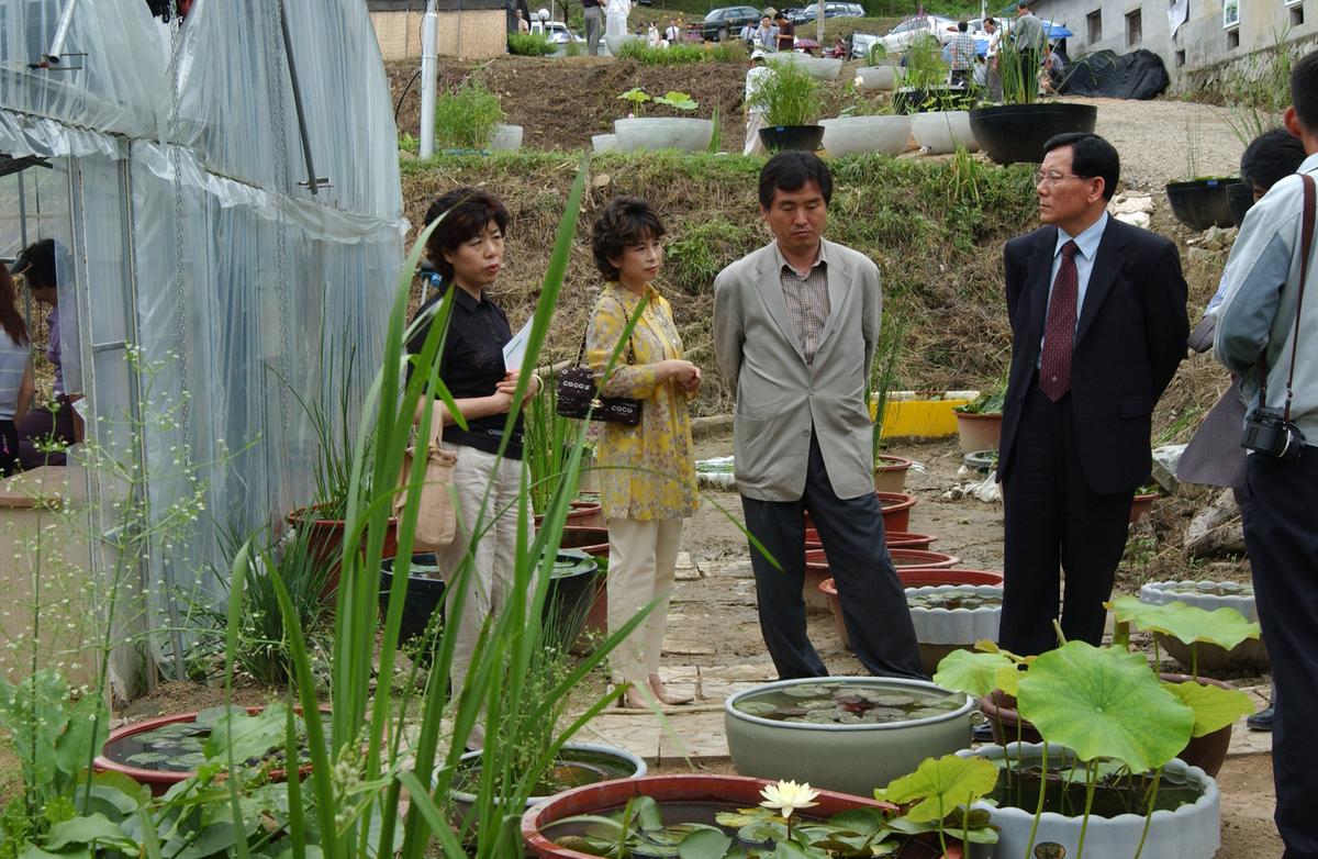 묘산야생화전시회