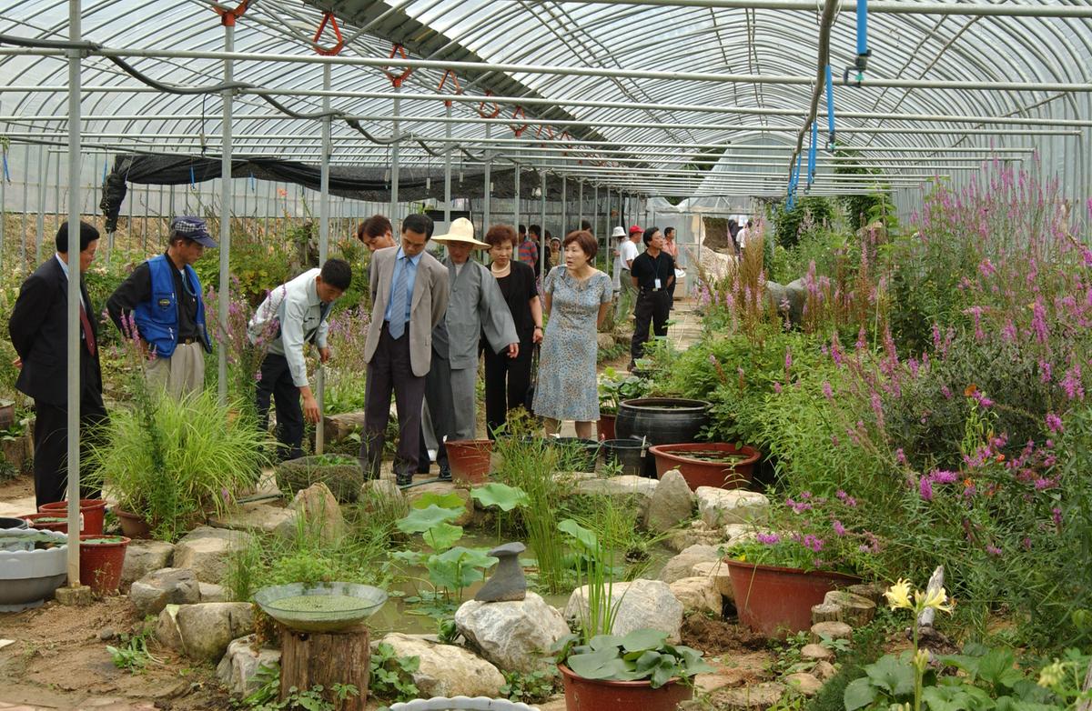 묘산야생화전시회