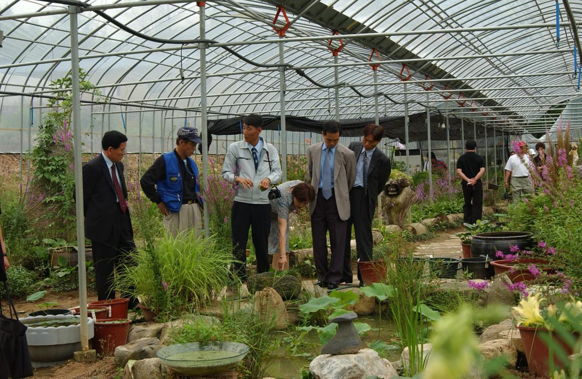 묘산야생화전시회