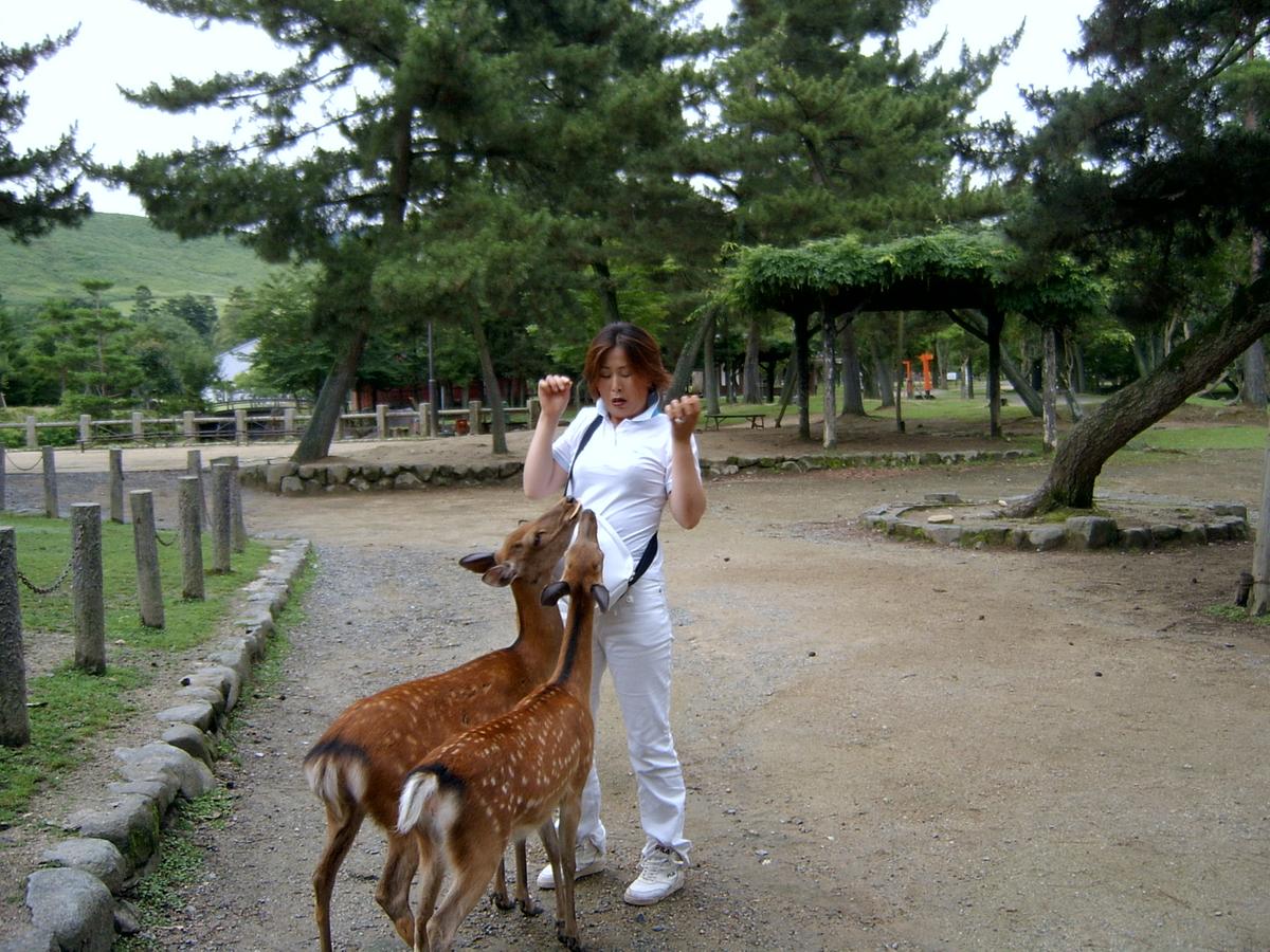 일본간사이 방문2