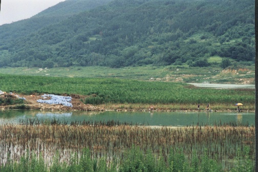 HC합천댐