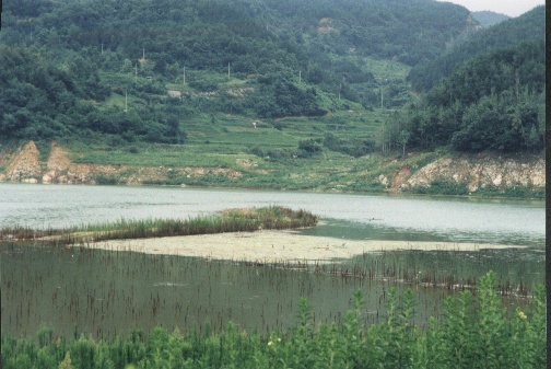 HC합천댐