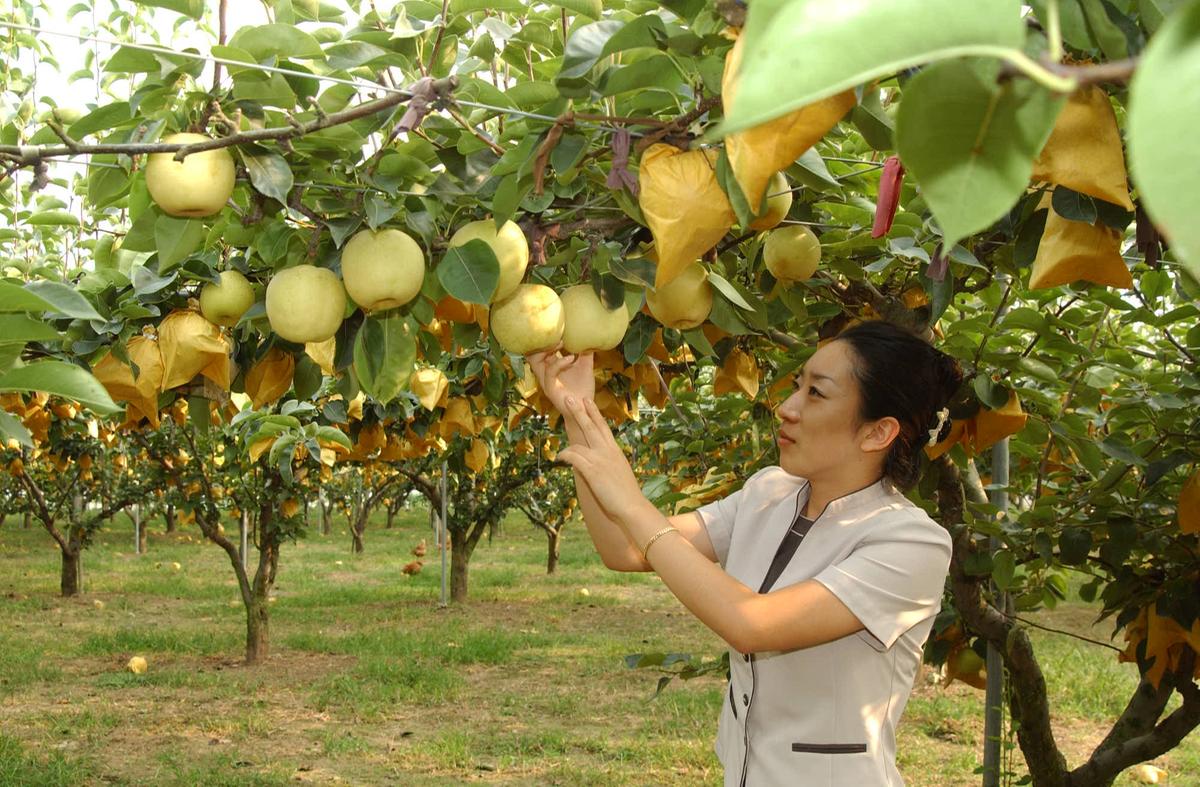 HC합천갑산배